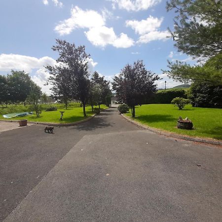 The Laurels Villa Waterford Dış mekan fotoğraf
